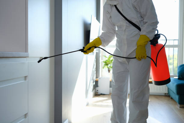 Best Residential Mold Remediation in Fircrest, WA