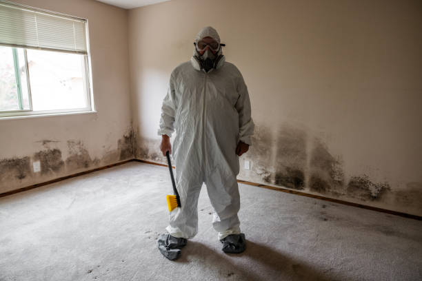 Best DIY Mold Remediation Support Services in Fircrest, WA